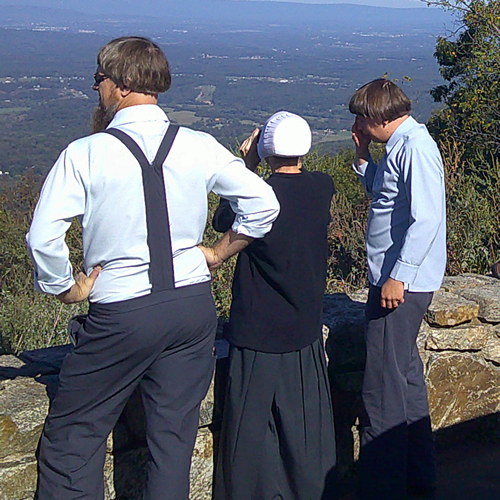 Image of Amish buggy
